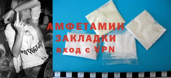ГАЛЛЮЦИНОГЕННЫЕ ГРИБЫ Гусь-Хрустальный