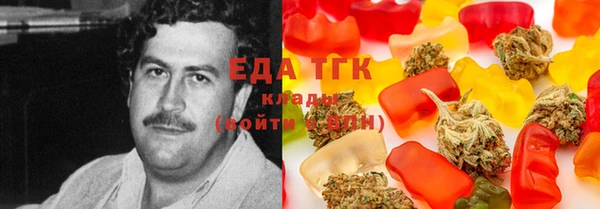 дмт Гусев
