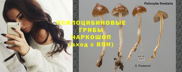 дмт Гусев