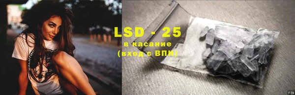 ГАЛЛЮЦИНОГЕННЫЕ ГРИБЫ Гусь-Хрустальный