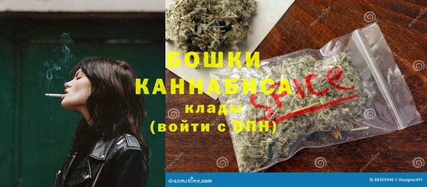 ГАЛЛЮЦИНОГЕННЫЕ ГРИБЫ Гусь-Хрустальный