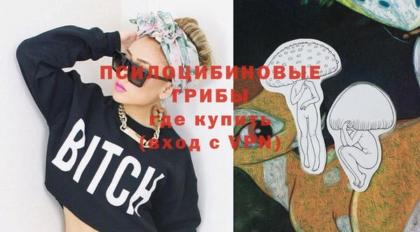 дмт Гусев