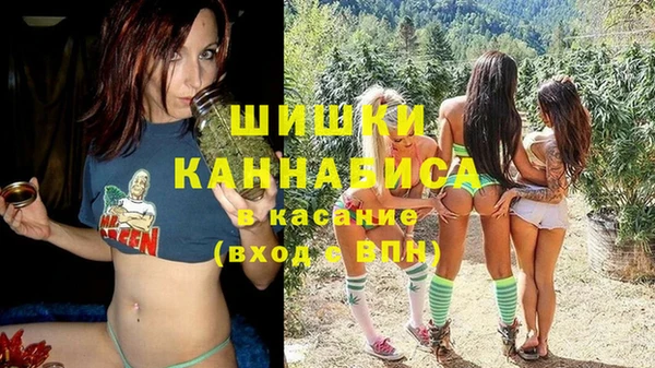 дмт Гусев