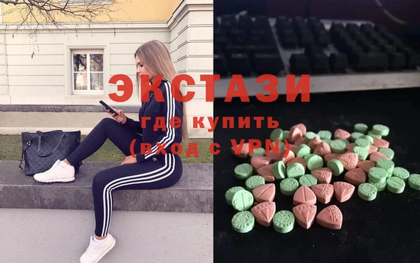 дмт Гусев