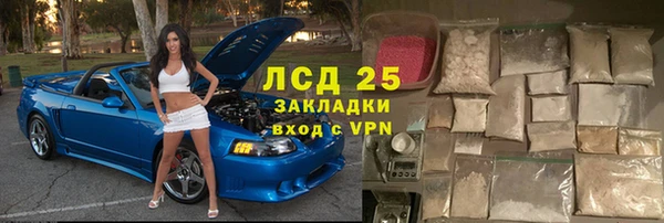 ГАЛЛЮЦИНОГЕННЫЕ ГРИБЫ Гусь-Хрустальный