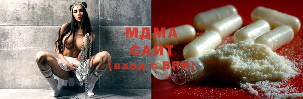 ГАЛЛЮЦИНОГЕННЫЕ ГРИБЫ Гусь-Хрустальный