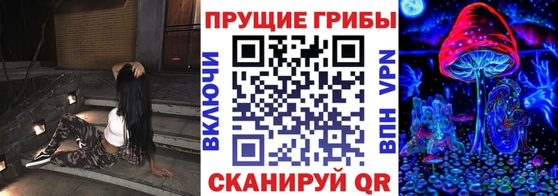 Галлюциногенные грибы Cubensis  Купить где  Называевск 
